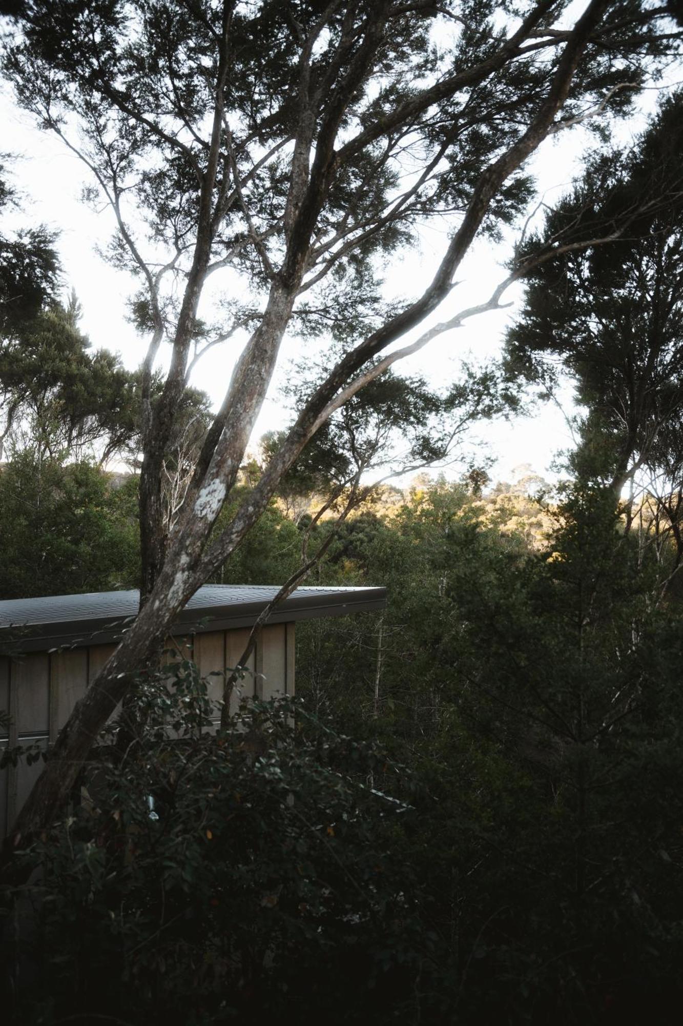 Treehouse Hideaway At Rekindle Tree Houses Opua Esterno foto