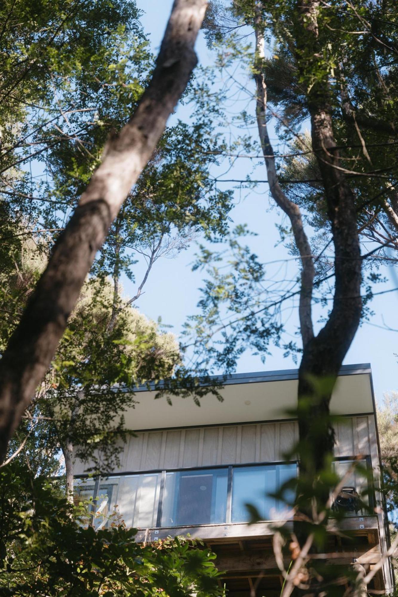 Treehouse Hideaway At Rekindle Tree Houses Opua Esterno foto